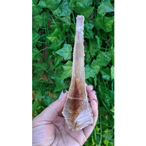 8.45 oz. Natural Golden Selenite Crystal Flame Slab Self Collected in Southern Arizona. You get this