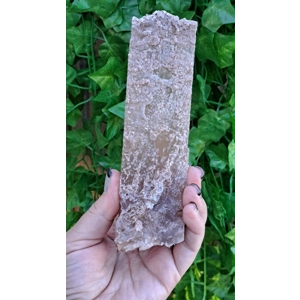 8.45 oz. Natural Golden Selenite Crystal Flame Slab Self Collected in Southern Arizona. You get this