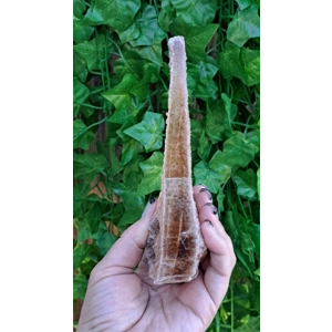 8.45 oz. Natural Golden Selenite Crystal Flame Slab Self Collected in Southern Arizona. You get this