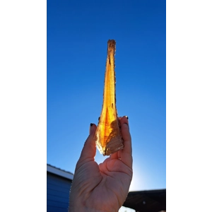 8.45 oz. Natural Golden Selenite Crystal Flame Slab Self Collected in Southern Arizona. You get this
