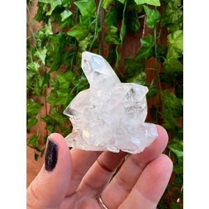 1.81 oz. AA Grade Apophyllite Crystal Cluster from Jalgaon India. You get this piece!