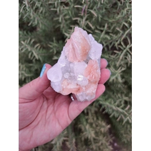 5.5 oz. Clear Apophyllite with Stilbite Crystal Cluster from India. Z63. You get this piece!