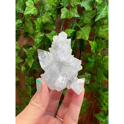 3.97 oz. AA Grade Apophyllite Crystal Cluster Stalactite from Jalgaon India. You get this piece! ZA3
