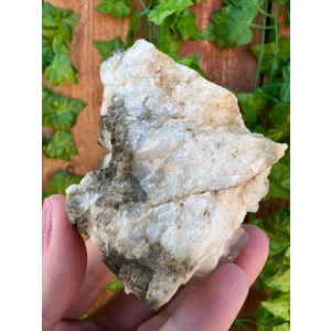 6.52 oz. Clear Quartz Crystal Points Cluster With Green Chlorite Inclusions. You get this piece!