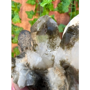 6.52 oz. Clear Quartz Crystal Points Cluster With Green Chlorite Inclusions. You get this piece!