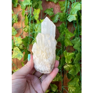 10.21 oz. Clear Quartz Crystal Points Cluster from Madagascar. You get this piece!