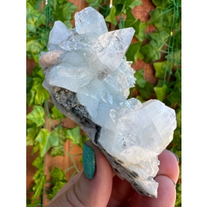 5.5 oz. AA Grade Apophyllite Clear Crystal Cluster Stalactite  from Jalgaon India. ZA17. You get thi