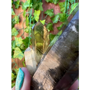 4.87 oz. Natural Citrine Quartz Points Cluster from Madagascar. You get this piece!