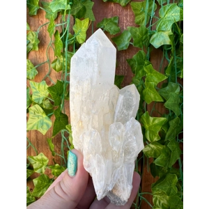 10.21 oz. Clear Quartz Crystal Points Cluster from Madagascar. You get this piece!