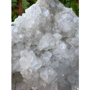 2.87 Lb Apophyllite Crystal Cluster from India. You get this piece!