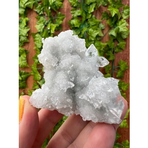 3.28 oz AA Grade Apophyllite Crystal Cluster Stalactite from Jalgaon India. ZA8 You get this piece!