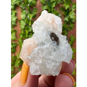 1.37 oz. AA Grade Apophyllite Clear Crystal Cluster Stalactite  from Jalgaon India. ZA26. You get th