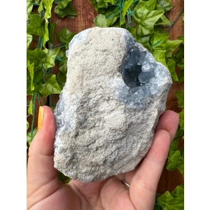 1.72 lb Raw Celestite Crystal Cluster. Blue Celestite Geode. You get this piece!