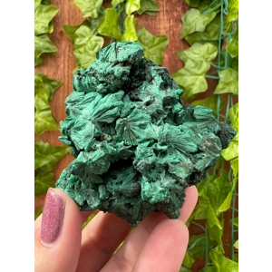 5.42 oz. Fibrous Malachite Cluster from the Congo. You get this piece!