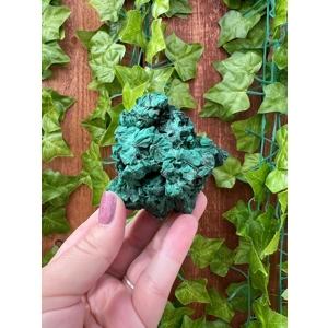 5.42 oz. Fibrous Malachite Cluster from the Congo. You get this piece!