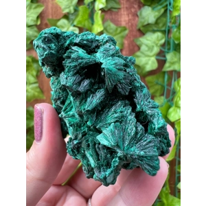 5.42 oz. Fibrous Malachite Cluster from the Congo. You get this piece!