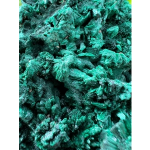 5.42 oz. Fibrous Malachite Cluster from the Congo. You get this piece!