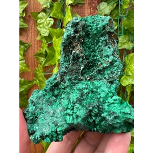 13.23 oz. Fibrous Malachite Crystal Cluster from the Congo. You get this piece!