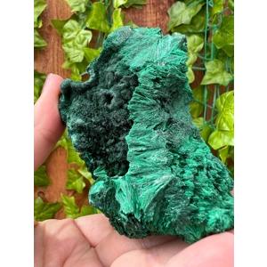 13.23 oz. Fibrous Malachite Crystal Cluster from the Congo. You get this piece!