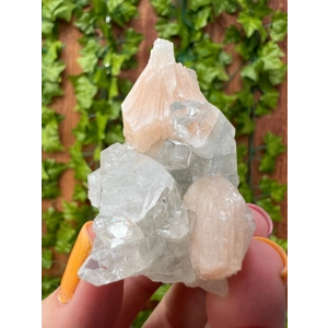 1.37 oz. AA Grade Apophyllite Clear Crystal Cluster Stalactite  from Jalgaon India. ZA26. You get th