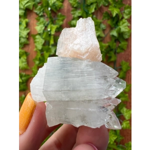 1.37 oz. AA Grade Apophyllite Clear Crystal Cluster Stalactite  from Jalgaon India. ZA26. You get th
