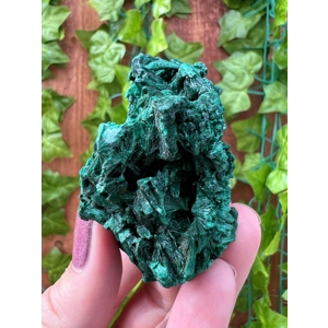 5.42 oz. Fibrous Malachite Cluster from the Congo. You get this piece!