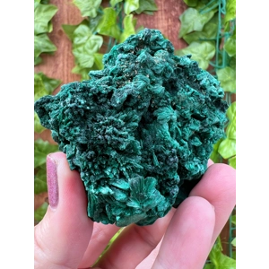 5.42 oz. Fibrous Malachite Cluster from the Congo. You get this piece!