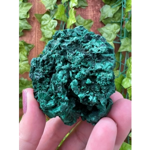 5.42 oz. Fibrous Malachite Cluster from the Congo. You get this piece!