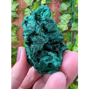 5.42 oz. Fibrous Malachite Cluster from the Congo. You get this piece!