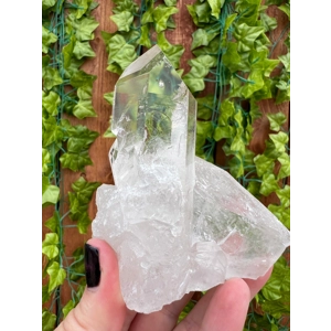 9.81 oz Arkansas Quartz Crystal Point Cluster. Natural Water Clear Quartz Points from Arkansas. You
