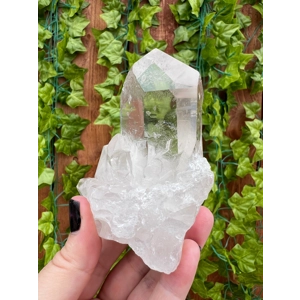 9.81 oz Arkansas Quartz Crystal Point Cluster. Natural Water Clear Quartz Points from Arkansas. You