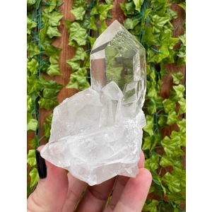 9.81 oz Arkansas Quartz Crystal Point Cluster. Natural Water Clear Quartz Points from Arkansas. You