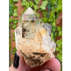 2.81 oz. Clear Quartz Crystal Points Cluster from Brazil. You get this piece!