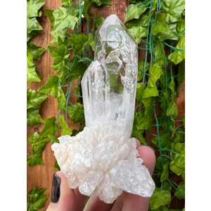 6.11 oz. Super Clear Quartz Crystal Points Cluster from Goboboseb, Nambia. You get this piece!
