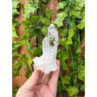 6.11 oz. Super Clear Quartz Crystal Points Cluster from Goboboseb, Nambia. You get this piece!