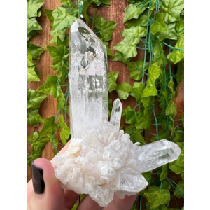 6.11 oz. Super Clear Quartz Crystal Points Cluster from Goboboseb, Nambia. You get this piece!