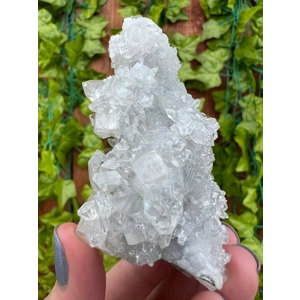 3.48 oz. AA Grade Apophyllite Crystal Cluster Stalactite from Jalgaon India. You get this piece! ZA1
