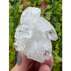 4.44 oz. AA Grade Apophyllite Clear Crystal Cluster Stalactite from Jalgaon India. You get this piec
