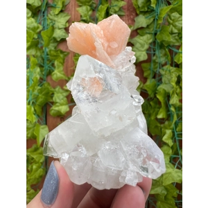 5.05 oz. AA Grade Apophyllite Clear Crystal Cluster Stalactite  from Jalgaon India. You get this pie