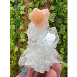 5.05 oz. AA Grade Apophyllite Clear Crystal Cluster Stalactite  from Jalgaon India. You get this pie