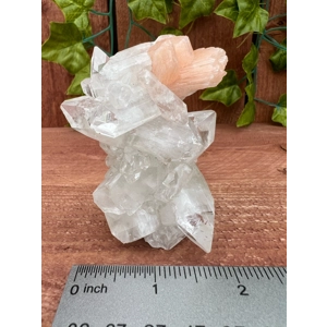 5.05 oz. AA Grade Apophyllite Clear Crystal Cluster Stalactite  from Jalgaon India. You get this pie