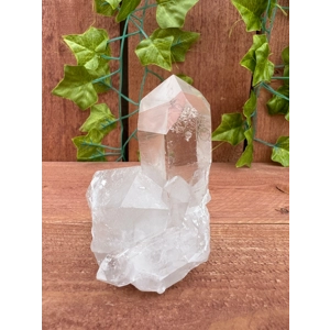 9.81 oz Arkansas Quartz Crystal Point Cluster. Natural Water Clear Quartz Points from Arkansas. You