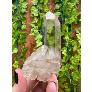 3.91 oz. Super Clear Quartz Points Crystal Cluster. Natural Quartz Point from Brazil. You get this p