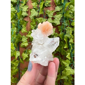 5.05 oz. AA Grade Apophyllite Clear Crystal Cluster Stalactite  from Jalgaon India. You get this pie