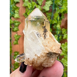 2.81 oz. Clear Quartz Crystal Points Cluster from Brazil. You get this piece!
