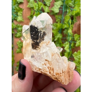 2.81 oz. Clear Quartz Crystal Points Cluster from Brazil. You get this piece!