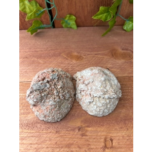 1.1 Lb Geode cut in half. Geode pair. Geode with Quartz points. You get this piece!