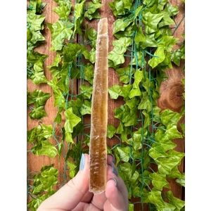 4.42 oz Natural Golden Selenite Crystal Self Collected in Southern Arizona. Large Raw Golden Selenit