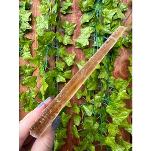 4.42 oz Natural Golden Selenite Crystal Self Collected in Southern Arizona. Large Raw Golden Selenit
