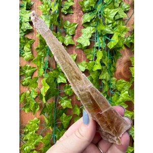 3.36 oz Natural Golden Selenite Crystal Flame Slab Self Collected in Southern Arizona. You Get This